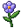 Flax Plant