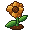 Loamflower