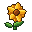Sunpetal