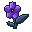 Nightshade