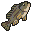 Raw Bass