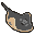 Raw Manta Ray