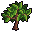 Linden Logs