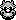 Raccoon